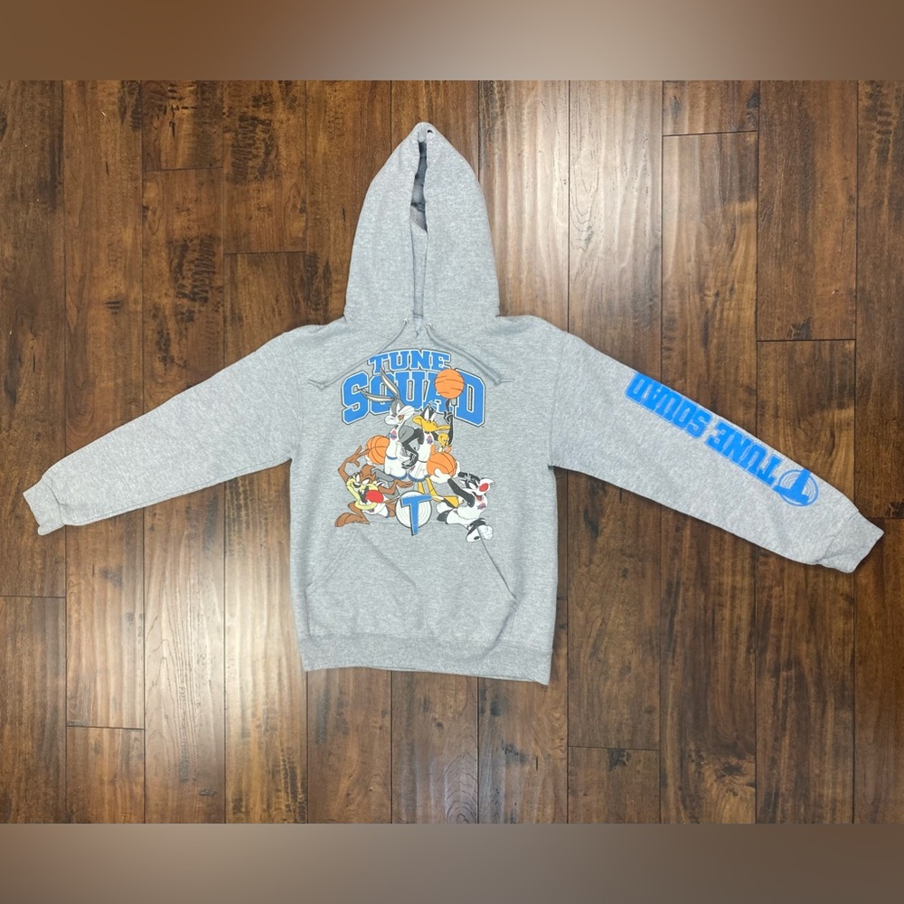 SPACE JAM Hoodie Adult Small TUNE SQUAD Gray Long Sleeve Looney Tunes